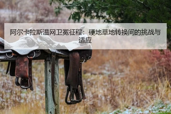 a-er-ka-la-si-wen-wang-wei-mian-zheng-cheng-ying-di-cao-di-zhuan-huan-jian-de-tiao-zhan-yu-shi-ying-2-305.jpg