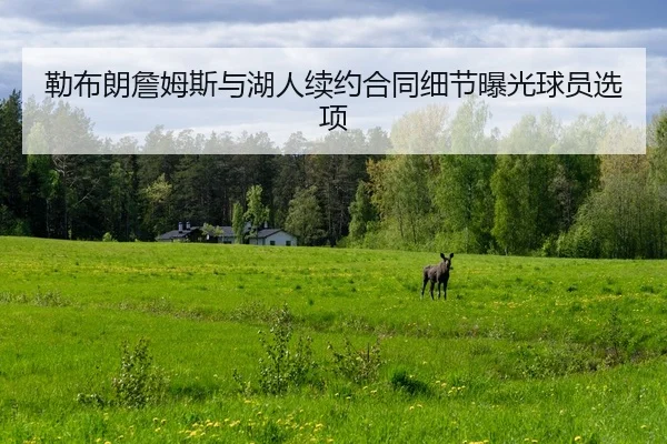 lei-bu-lang-zhan-mu-si-yu-hu-ren-xu-yue-he-tong-xi-jie-bao-guang-qiu-yuan-xuan-xiang-3-823.jpg