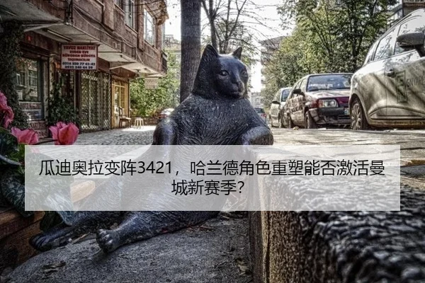 gua-di-ao-la-bian-zhen-ha-lan-de-jue-se-zhong-su-neng-fou-ji-huo-man-cheng-xin-sai-ji-2-182.jpg