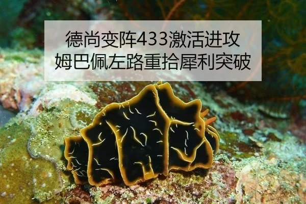 德尚变阵433激活进攻 姆巴佩左路重拾犀利突破